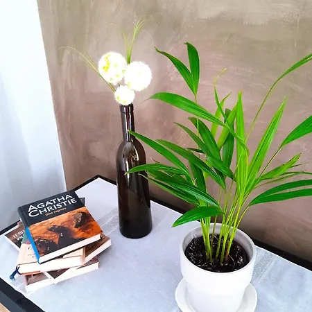 Apartamentos Ohana Merida - Centro - Parking Gratis - Todo A Pie - Pet Friendly - Espacios Exclusivos * メリダ