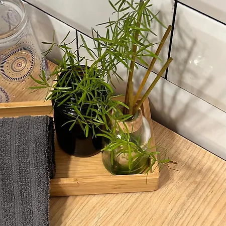 Apartment Independiente Con Parking Privado Gratuito Y Terraza De Ensueno Junto Al Teatro Merida