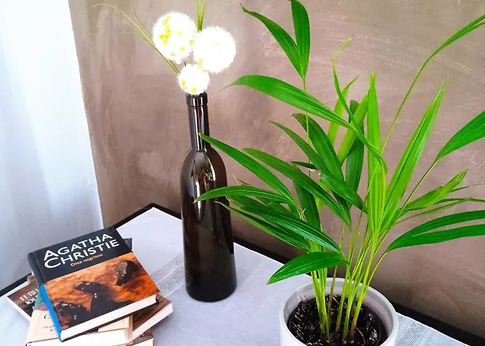 Independiente Con Parking Privado Gratuito Y Terraza De Ensueno Junto Al Teatro * Mérida