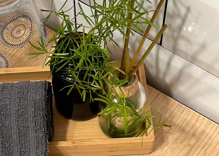 Lejlighed Independiente Con Parking Privado Gratuito Y Terraza De Ensueno Junto Al Teatro Mérida